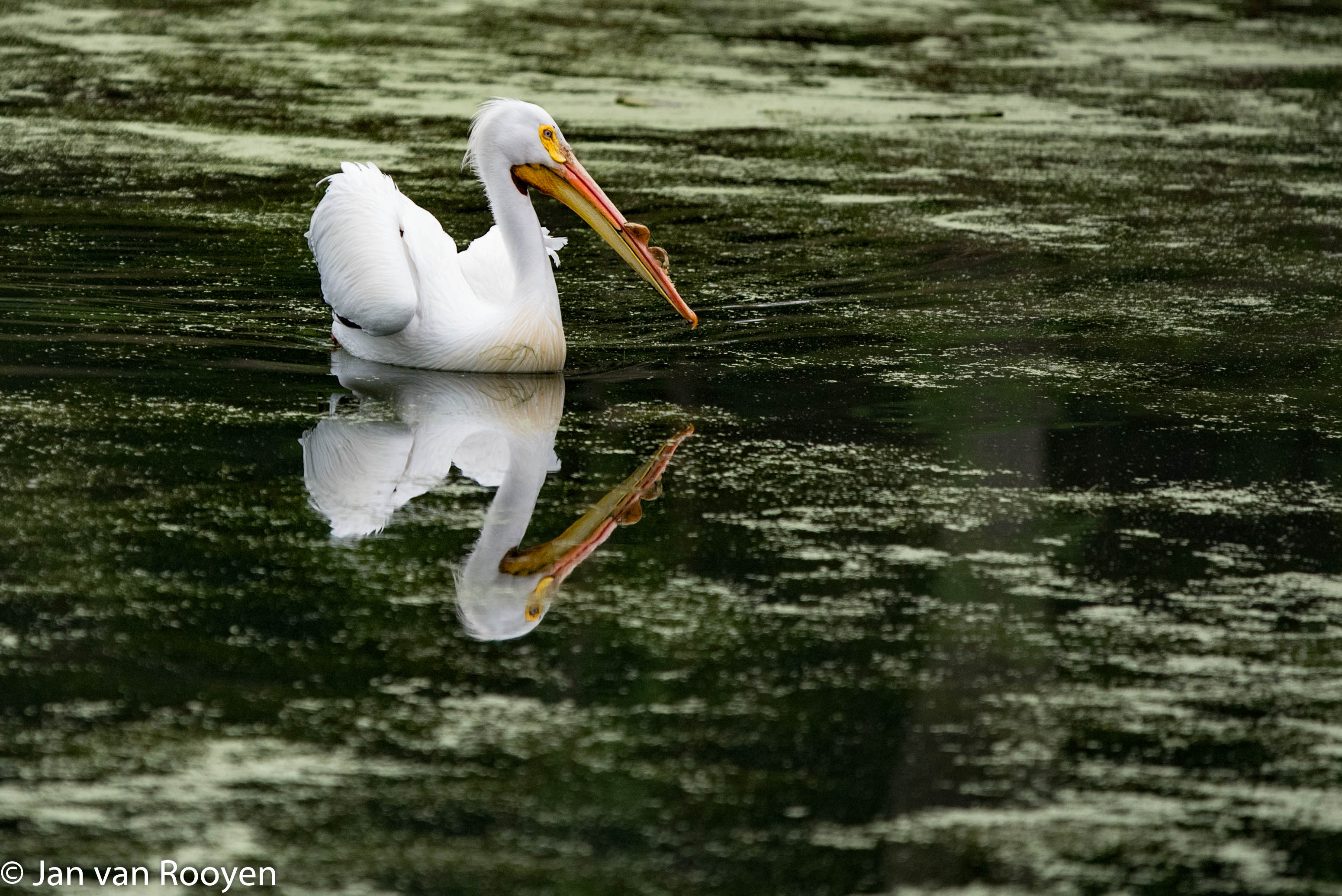 Wonders of the Natural World